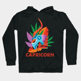 LGBTQ ZODIAC CAPRICON Hoodie